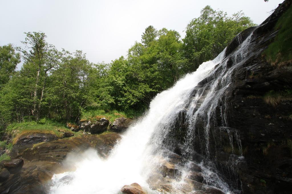 Vinje Camping Geiranger Dış mekan fotoğraf
